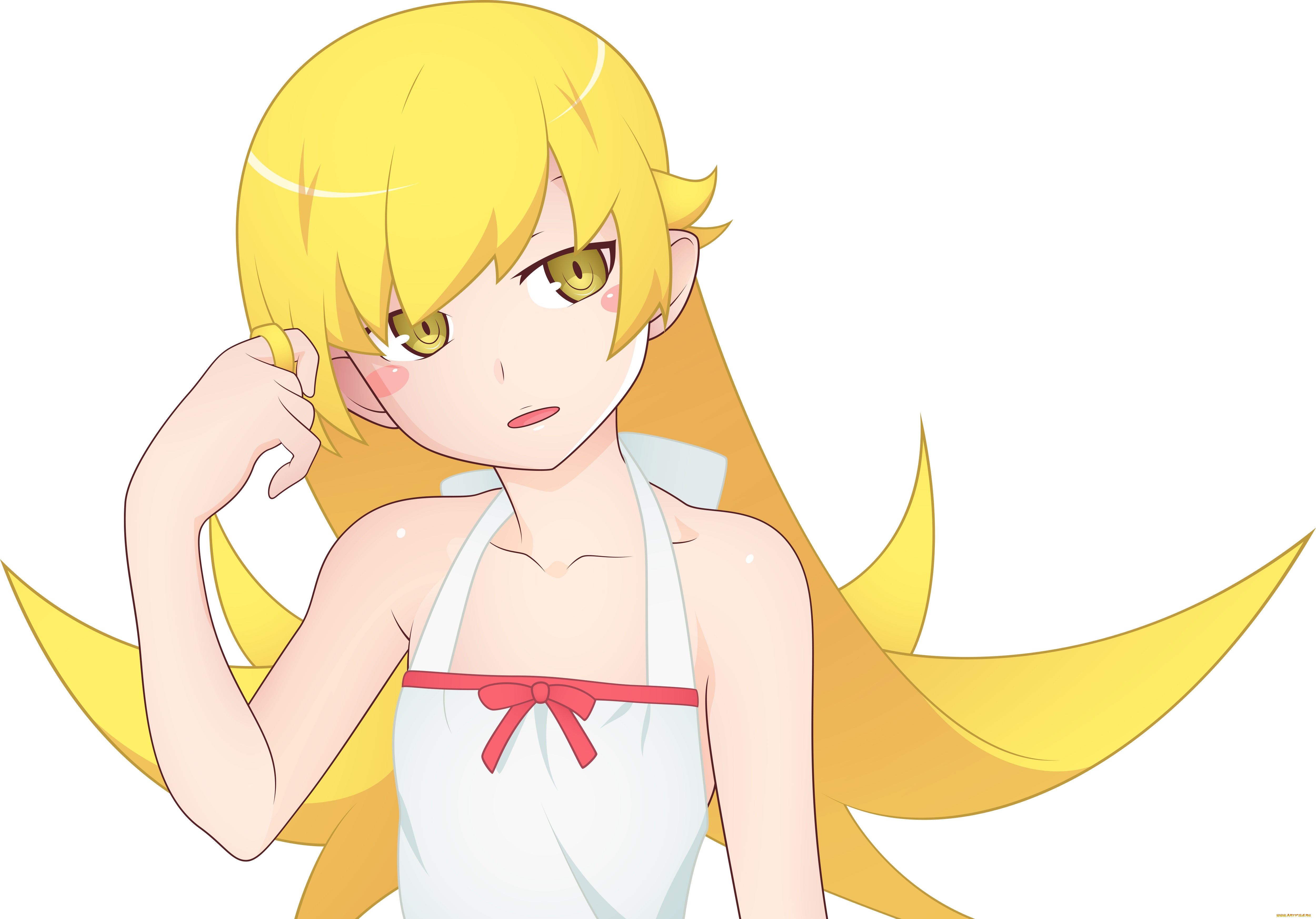 , bakemonogatari, , , 